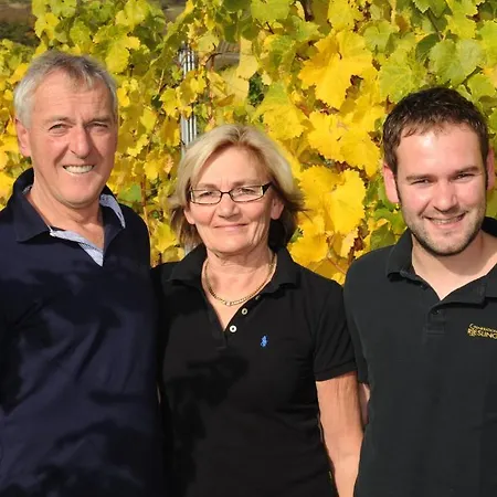 Ferienweingut Wolfgang Adamy Kinheim