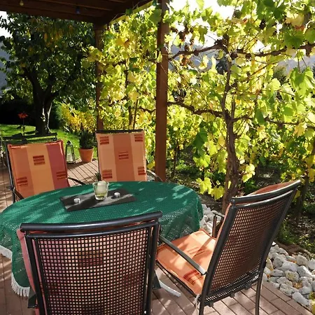 Ferienweingut Wolfgang Adamy Guest house