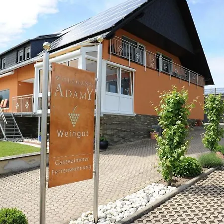 בית הארחה Ferienweingut Wolfgang Adamy