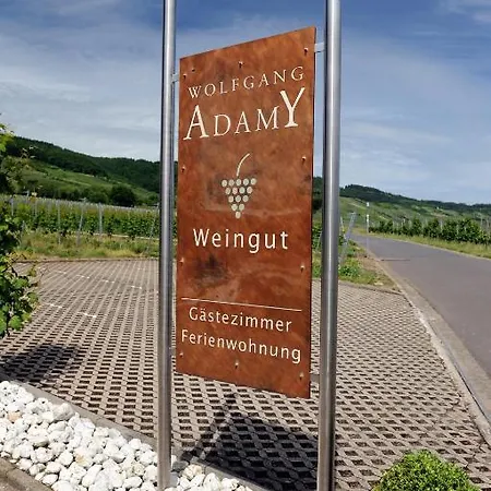 Ferienweingut Wolfgang Adamy בית הארחה Kinheim