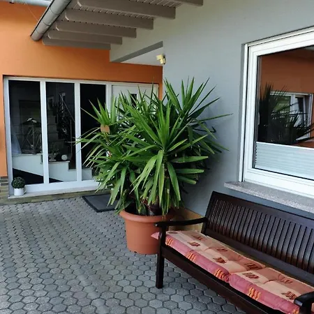 Ferienweingut Wolfgang Adamy Guest house
