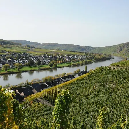 Ferienweingut Wolfgang Adamy Guest house