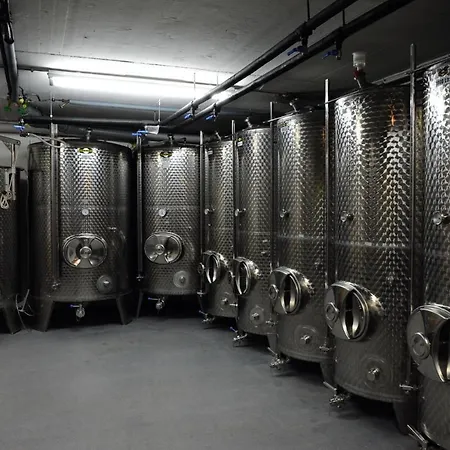 Ferienweingut Wolfgang Adamy בית הארחה 3*