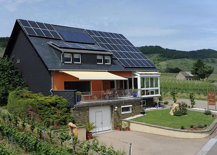 Ferienweingut Wolfgang Adamy Kinheim