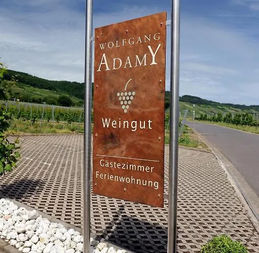 Ferienweingut Wolfgang Adamy Penzion Kinheim