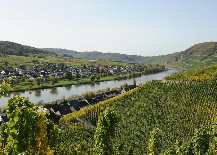 Ferienweingut Wolfgang Adamy Pensionat