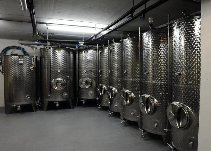 Ferienweingut Wolfgang Adamy Casa de hóspedes 3*